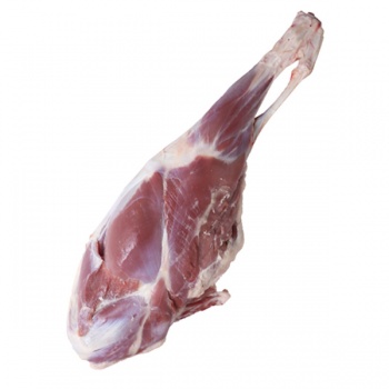 سردست گوسفندی بره